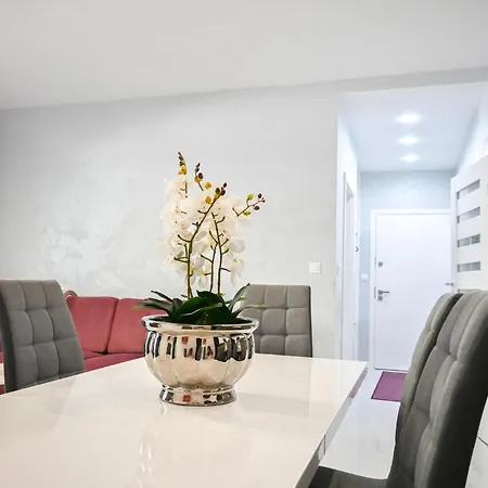 Apartamento Cozy In With Wifi